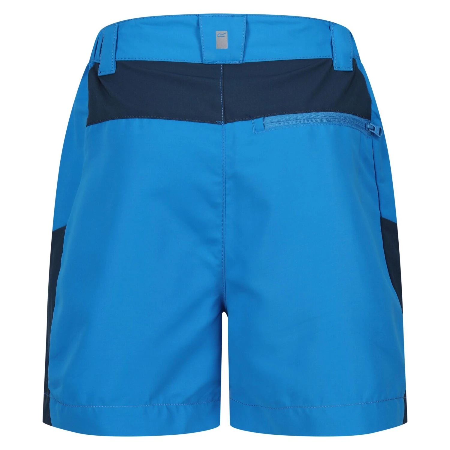 Regatta Sorcer Mountain III Kids' Hiking Shorts - Image 4