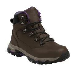 Regatta Womens/Ladies Tebay Waterproof Leather Walking Boots (Alpine Purple)