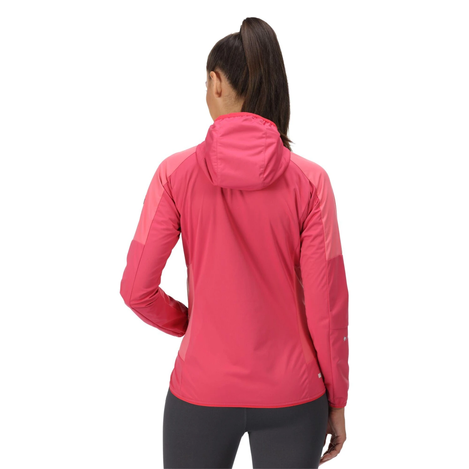 Regatta Womens/Ladies Tarvos IV Softshell Jacket (Neon Peach/Fusion Coral) - Image 8
